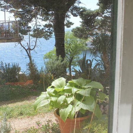 Apartman Tafra Omiš Esterno foto