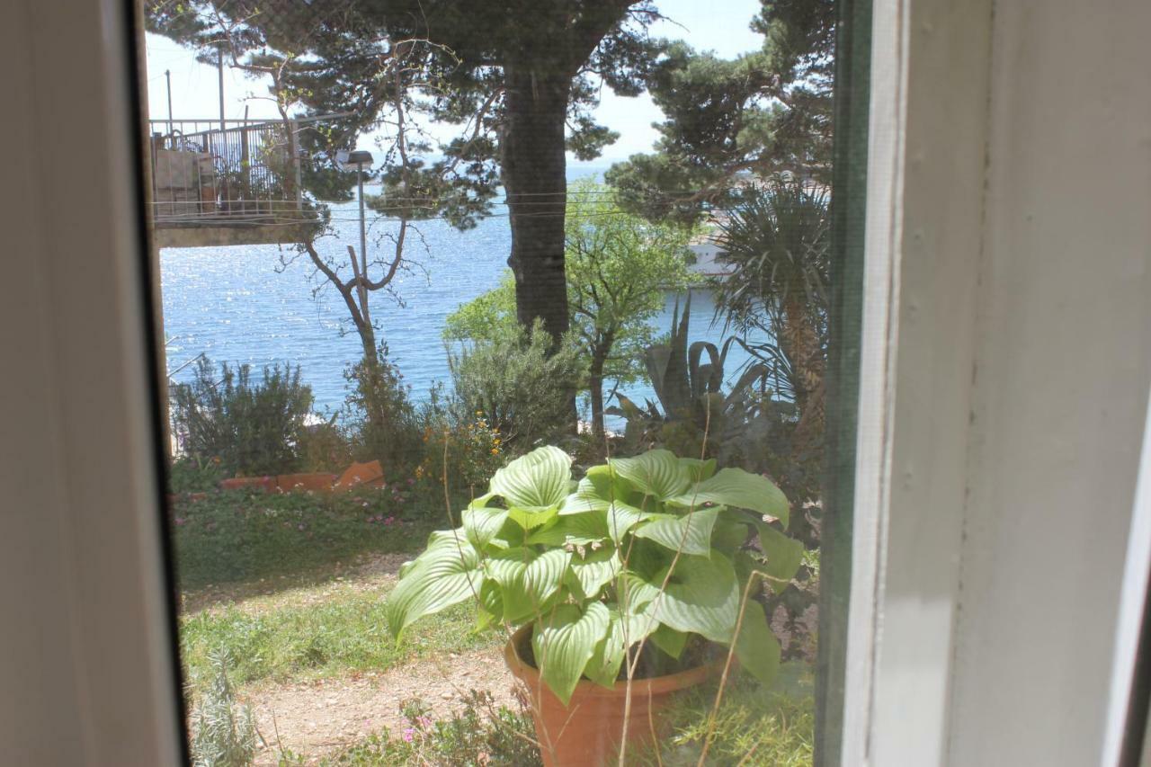 Apartman Tafra Omiš Esterno foto